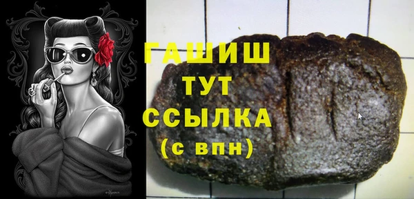 амф Тайга